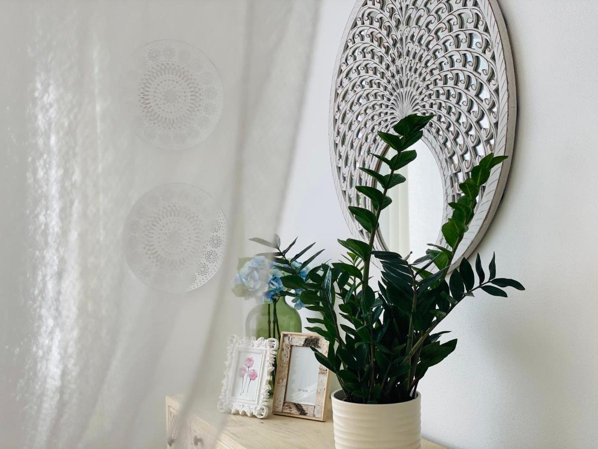 Boutique Byt Ceske Budejovice Bagian luar foto